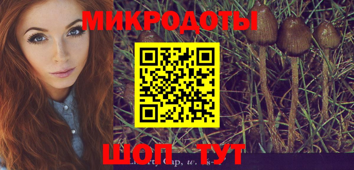Галлюциногенные грибы прущие грибы  Вход с VPN  Сердобск  Псилоцибиновые грибы прущие грибы 